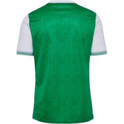 Camiseta de local del ASSE 2025/26 para hombre Camiseta de local del ASSE 2025/26 para hombre