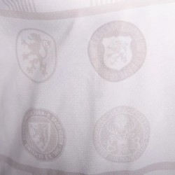 Camiseta especial de manga larga 130.º aniversario Eintracht Braunschweig 2025/26 para niño