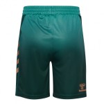 Pantalones Cortos Terceros Werder Bremen 2025/26 Mujer