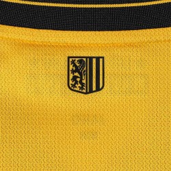 Camiseta de hombre Dynamo Dresden 2025/26 
