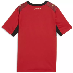 Camiseta Mundial 2026 Local Egipto Hombre Camiseta Mundial 2026 Local Egipto Hombre