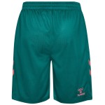 Pantalones Cortos Terceros Werder Bremen 2026/27 para Niño Pantalones Cortos Terceros Werder Bremen 2026/27 para Niño