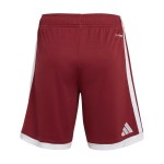 Shorts infantil Catar 2026 Copa del Mundo local