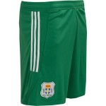 Pantalón Corto 115º Aniversario PEC Zwolle Hombre 2025/26 Pantalón Corto 115º Aniversario PEC Zwolle Hombre 2025/26