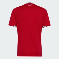 Camiseta local de la Copa del Mundo 2026 de Gales para hombre