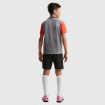 Niño Chelsea 2025/26 Tercera Camiseta Pre-Partido Gris