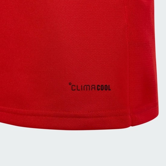 Niño Gales 2025/26 Camiseta de Manga Larga 150.º Aniversario