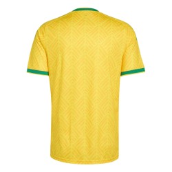 Camiseta local Sudáfrica 2026 Copa del Mundo hombre Camiseta local Sudáfrica 2026 Copa del Mundo hombre