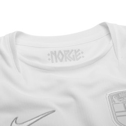 Camiseta de la Copa Mundial 2026 de Noruega Tercera Equipación para Hombre