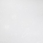 Hombre Dynamo Dresden 2025/26 Camiseta Especial Whiteout