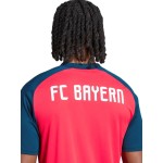 Camiseta Niño Bayern Múnich 2026/27 Pre Partido Visitante Camiseta Niño Bayern Múnich 2026/27 Pre Partido Visitante