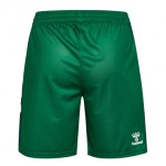 Pantalones Cortos Hombre Werder Bremen 2025/26 Local - Verde Pantalones Cortos Hombre Werder Bremen 2025/26 Local - Verde