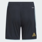 Pantalones cortos locales de la Copa del Mundo 2026 de Argentina para hombre Pantalones cortos locales de la Copa del Mundo 2026 de Argentina para hombre