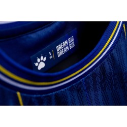 Camiseta de la Copa Mundial 2026 de Bosnia y Herzegovina Primera Equipación para Mujer