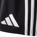 Pantalones Cortos Europeos Terceros OL 2025/26 para Hombre Pantalones Cortos Europeos Terceros OL 2025/26 para Hombre