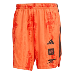 Hombre Arsenal x NTS 2025/26 Pantalones cortos Urban Purist
