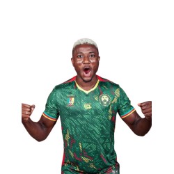 Camiseta Third Camerún 2025/26 Fourteen AFCON para niño
