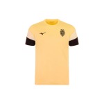 Hombre AS Mónaco 2025/26 Tercera Camiseta de Previa - Amarillo Hombre AS Mónaco 2025/26 Tercera Camiseta de Previa - Amarillo