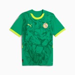 Camiseta de visita para niño Senegal 2025 Camiseta de visita para niño Senegal 2025