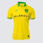 Camiseta Local Niño Norwich City 2025/26
